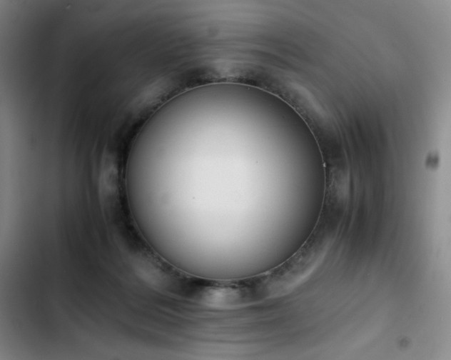 X0000102860220200808251234