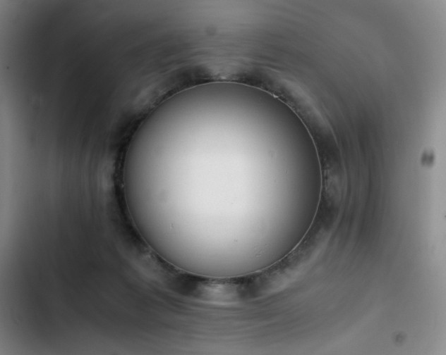 X0000102860221200808251234