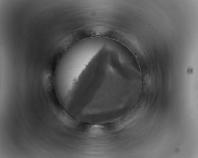 X0000102860222200808251234