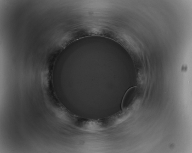 X0000102860223200808251234