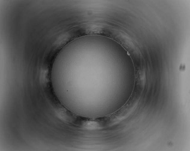 X0000102860224200808251234