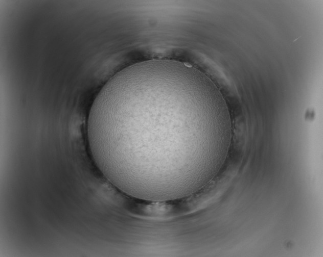 X0000102860225200808251234