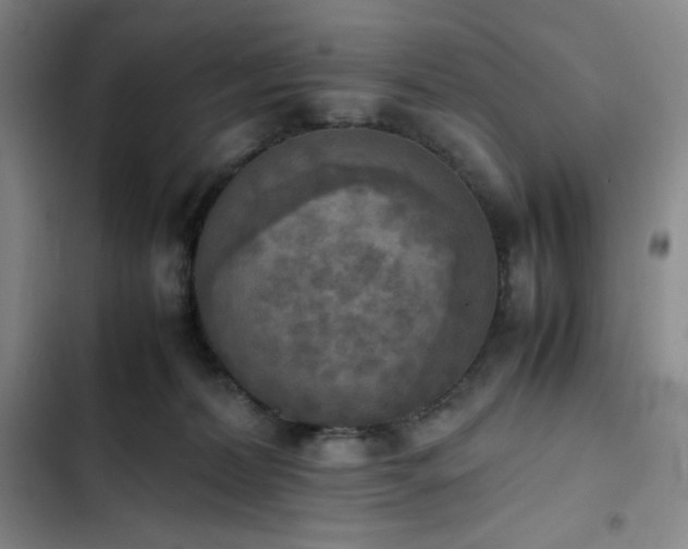 X0000102860228200808251234