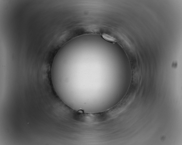 X0000102860229200808251234