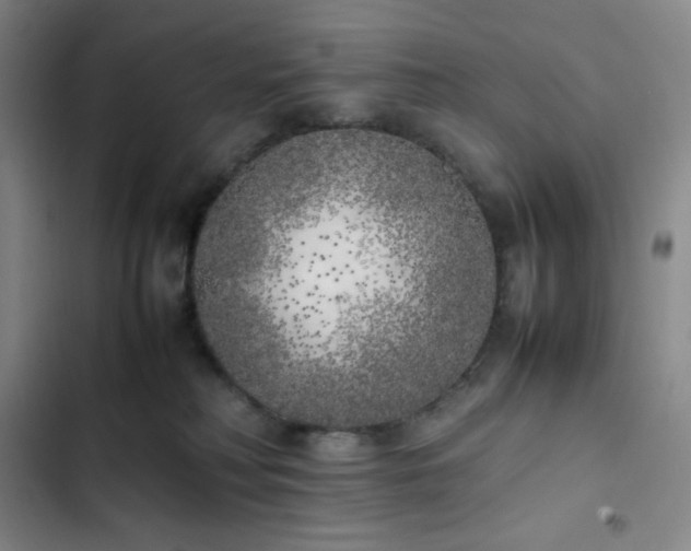 X0000102860230200808251234