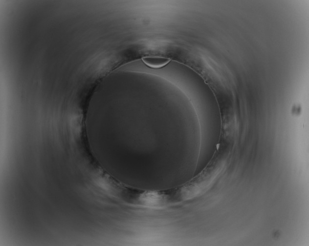 X0000102860231200808251234