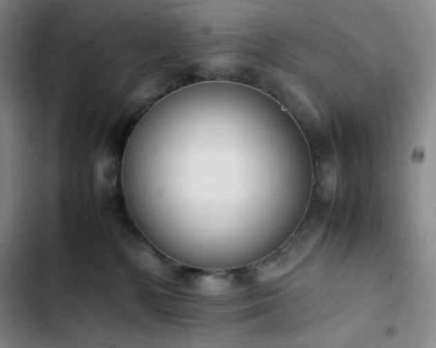 X0000102860232200808251234