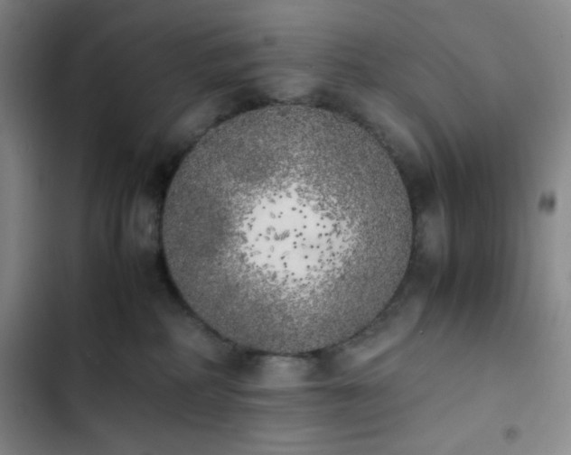 X0000102860234200808251233