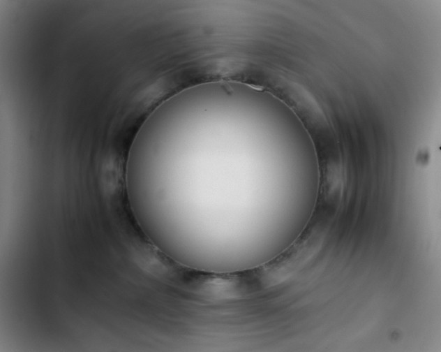 X0000102860236200808251233