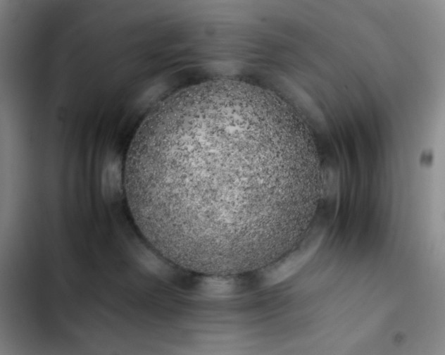 X0000102860238200808251233