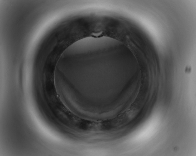 X0000102860239200808251233