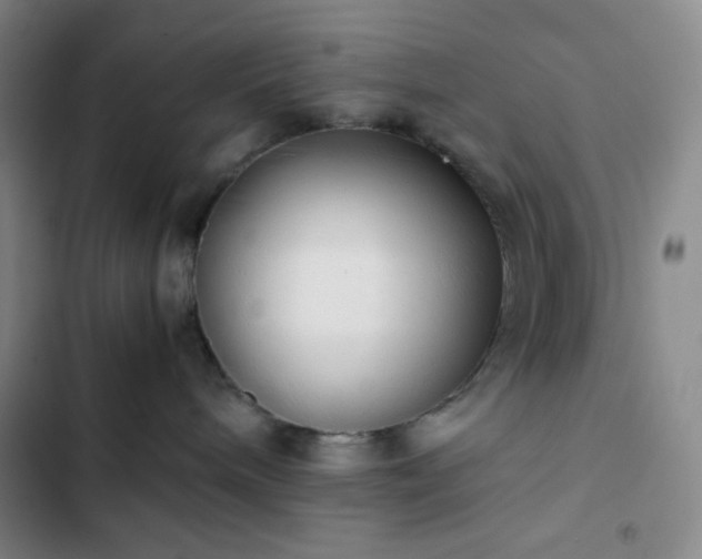 X0000102860240200808251233