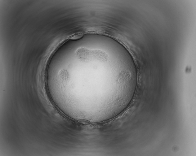 X0000102860241200808251233