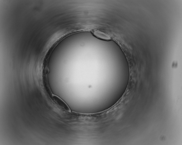 X0000102860242200808251233