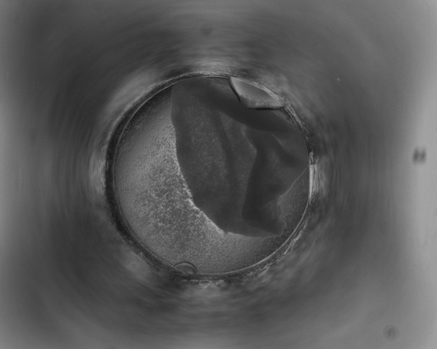 X0000102860243200808251233