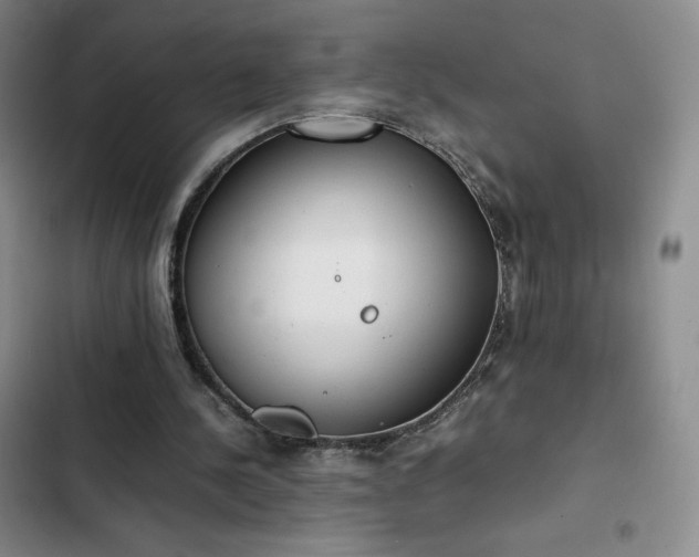 X0000102860244200808251233