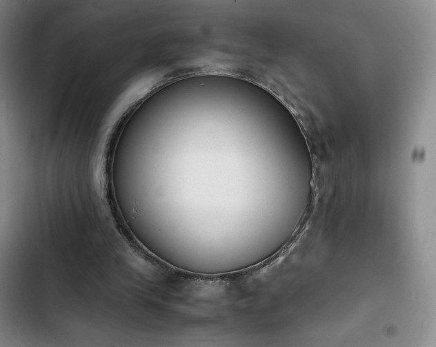 X0000102860245200808251233