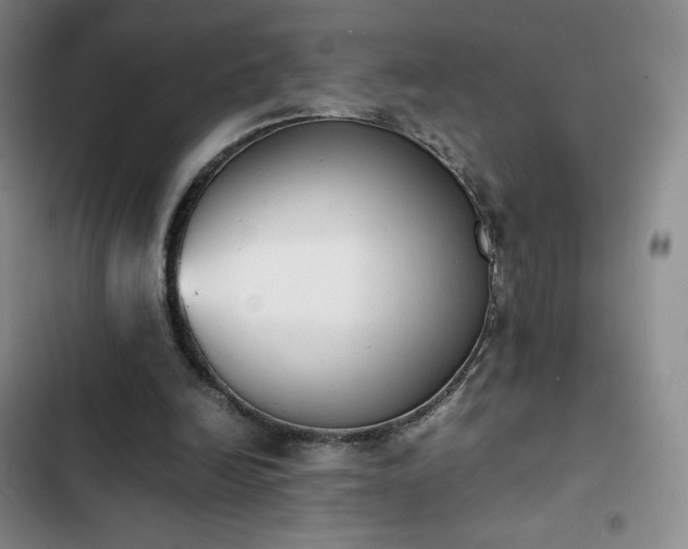 X0000102860246200808251233