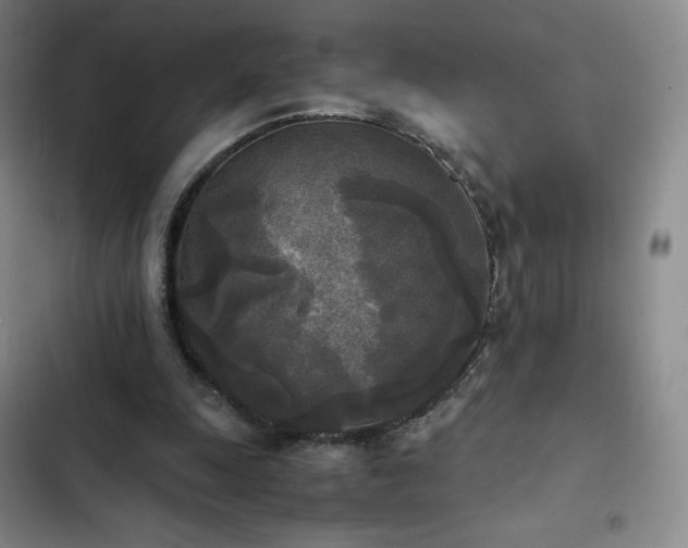 X0000102860247200808251233