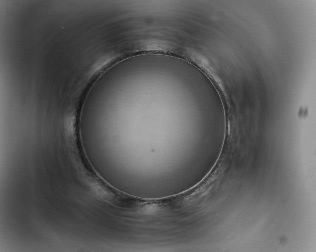 X0000102860249200808251233