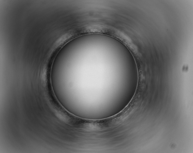 X0000102860250200808251233