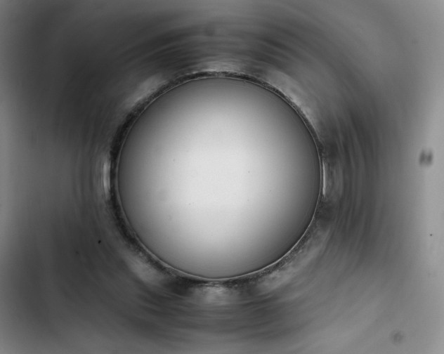 X0000102860253200808251233