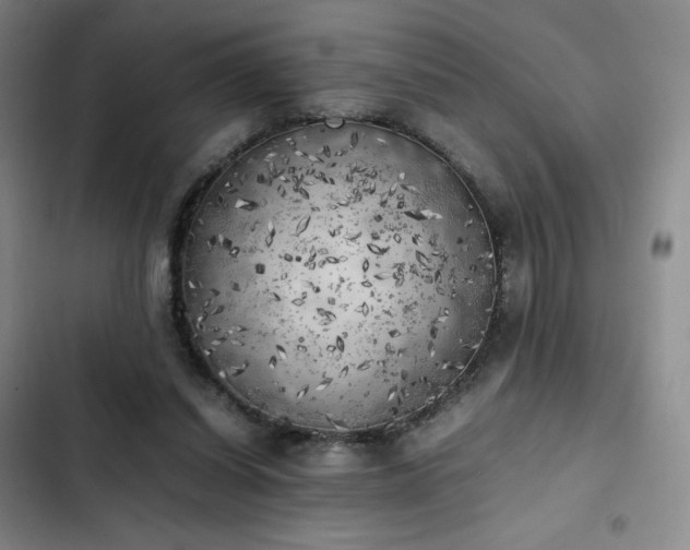 X0000102860254200808251233