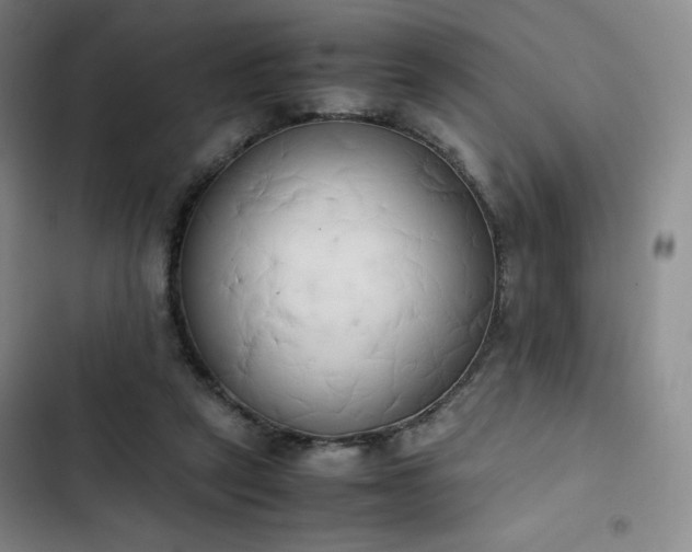 X0000102860257200808251233