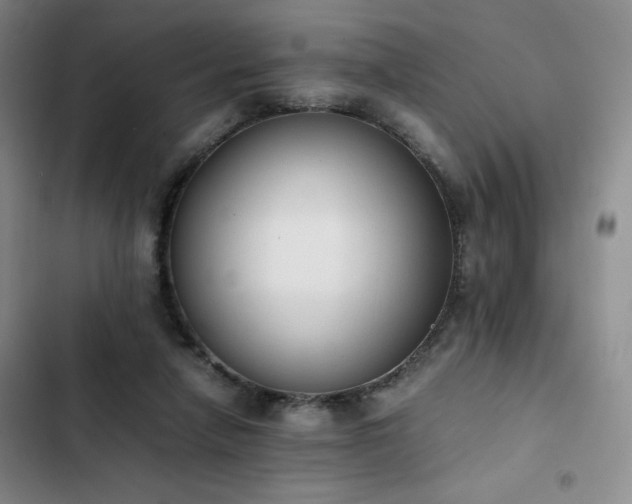 X0000102860258200808251233