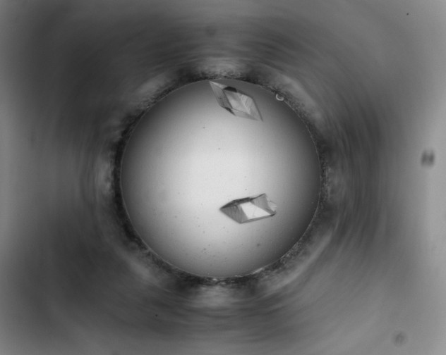 X0000102860259200808251233