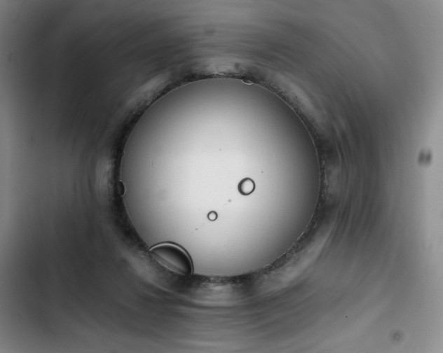 X0000102860260200808251233