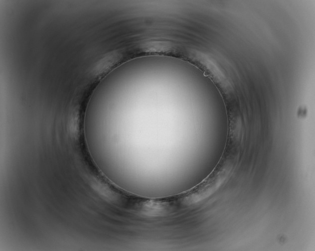 X0000102860261200808251233