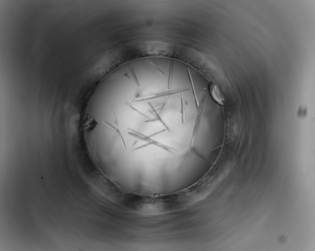 X0000102860263200808251233