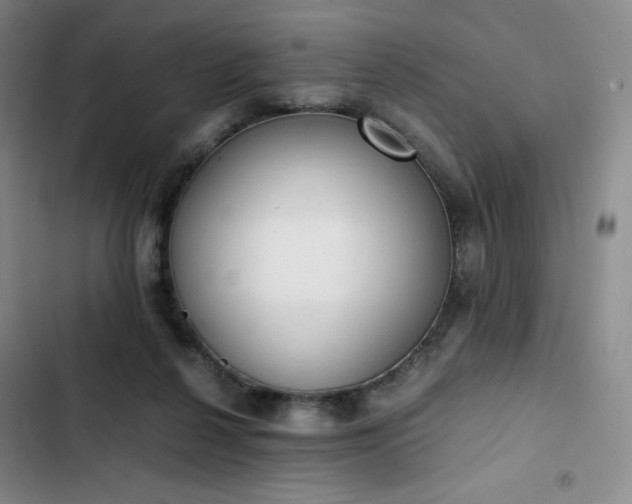 X0000102860264200808251233