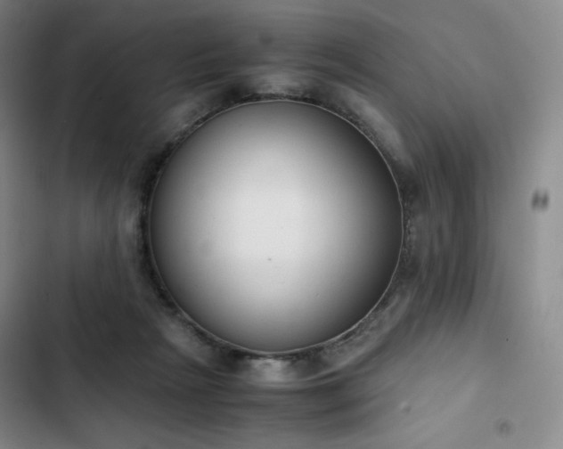 X0000102860265200808251233