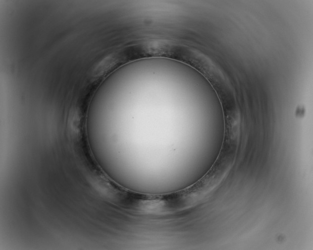 X0000102860266200808251233