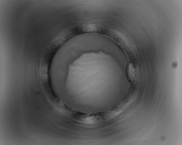 X0000102860267200808251233