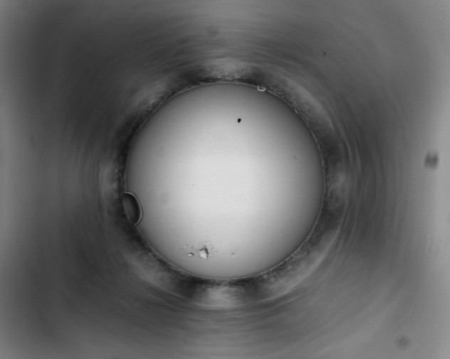 X0000102860268200808251233