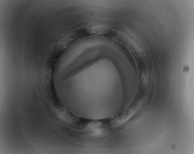 X0000102860271200808251233