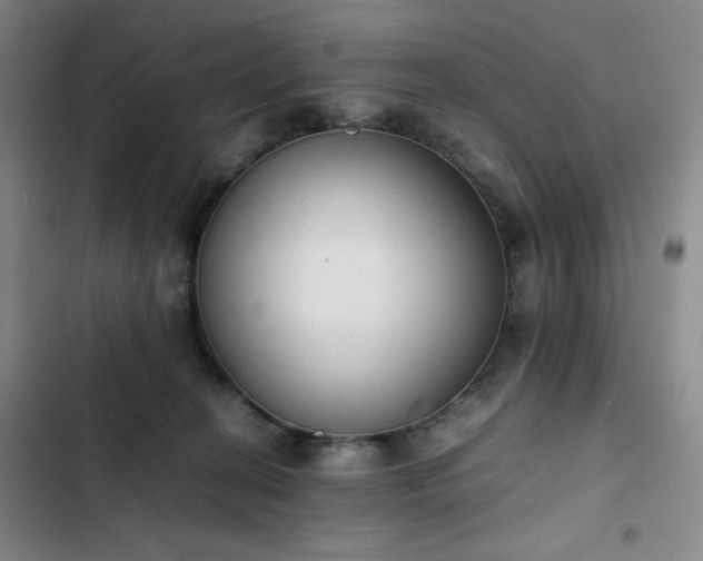 X0000102860274200808251233