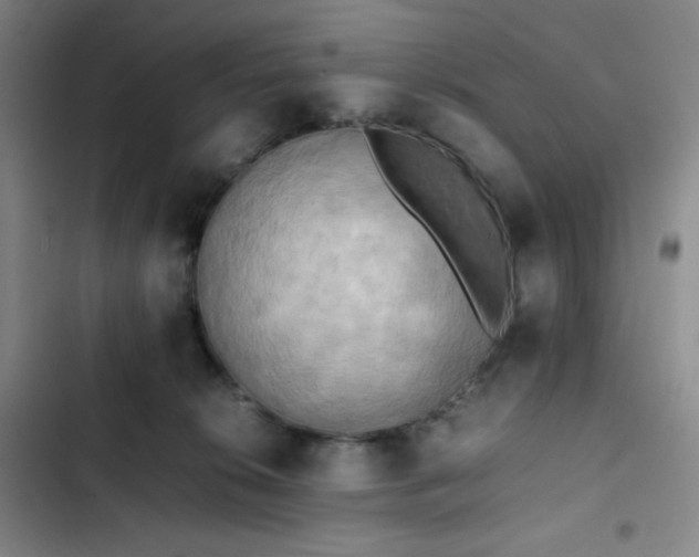 X0000102860276200808251233