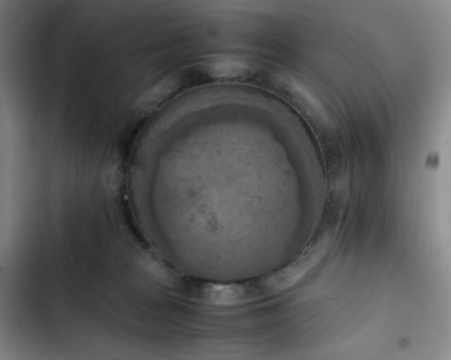 X0000102860277200808251233