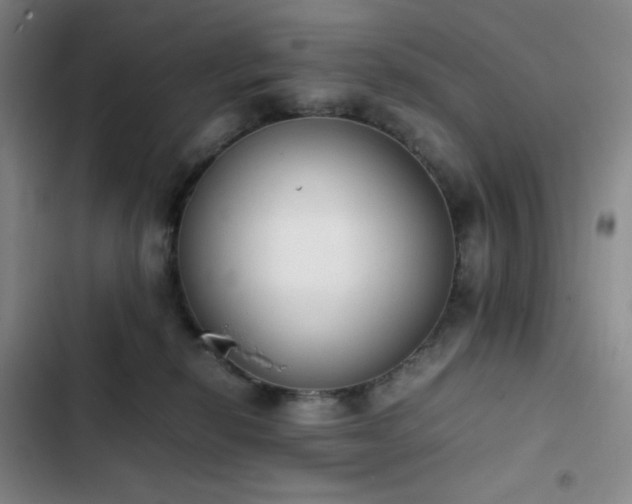 X0000102860278200808251233