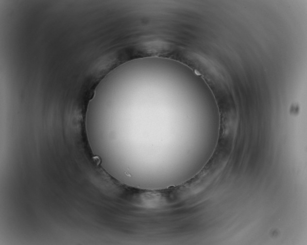 X0000102860279200808251233