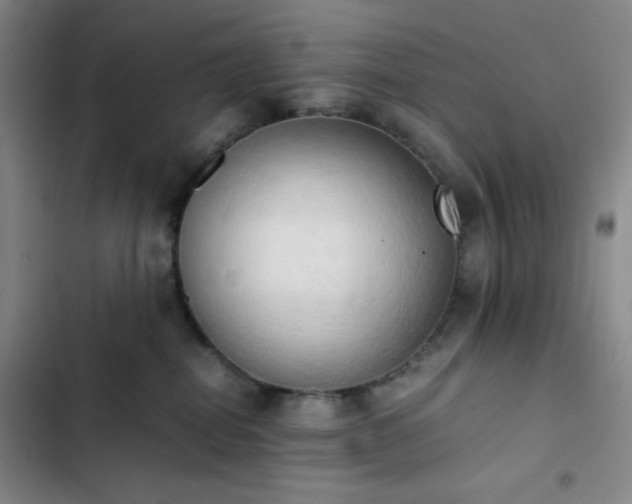 X0000102860282200808251233