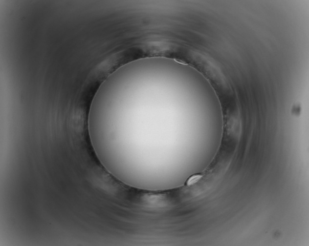 X0000102860283200808251233