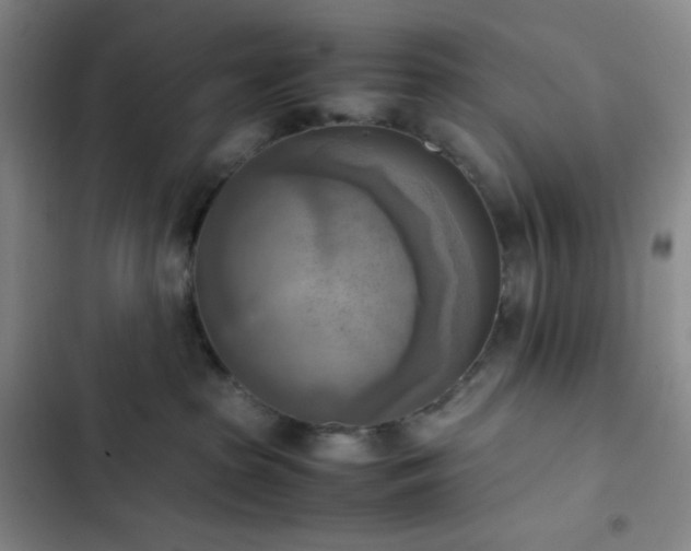 X0000102860285200808251233