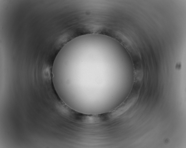 X0000102860286200808251233