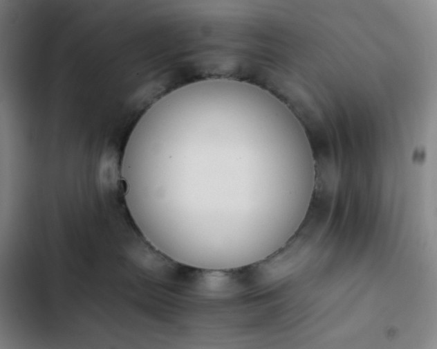 X0000102860287200808251233