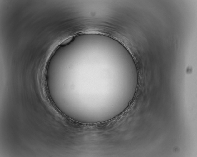 X0000102860289200808251233